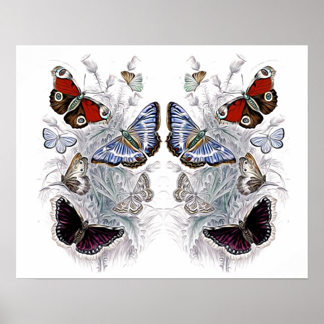 Poster papillons (Devant)