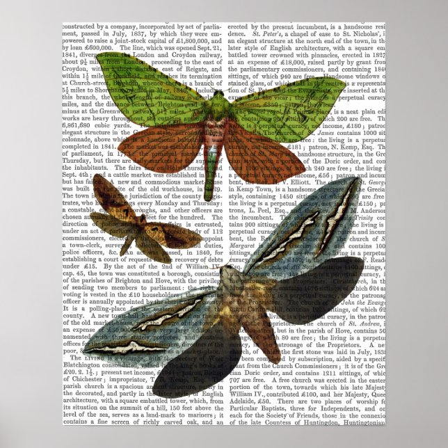 Poster Papillons 4 (Devant)