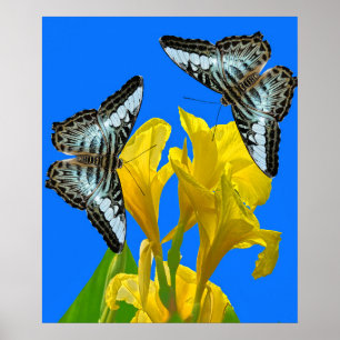Poster Papillons à clipper bleu malaisien sur l'affiche c