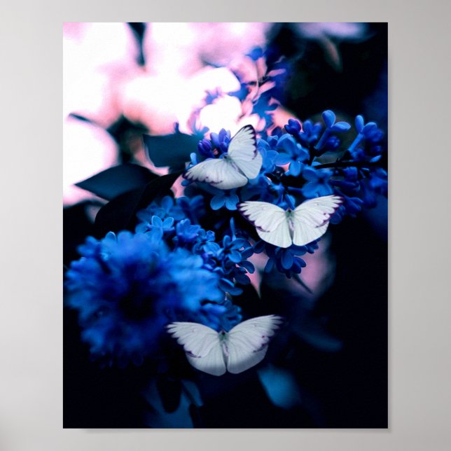 Poster Papillons blancs Fleurs bleues, papillon (Devant)