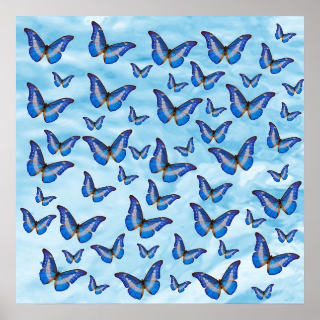 Poster Papillons bleus (Devant)