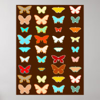 Papillons, Brown, Turquoise et Corail