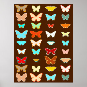 Poster Papillons, Brown, Turquoise et Corail