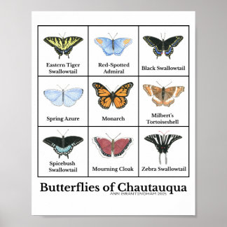 Poster Papillons de Chautauqua