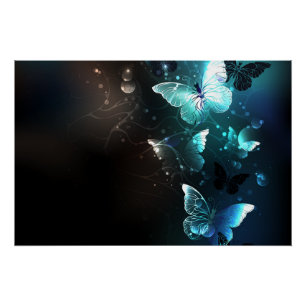 Poster Papillons de nuit