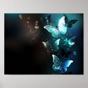 Poster Papillons de nuit