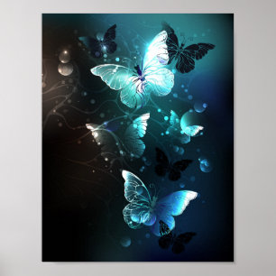 Poster Papillons de nuit