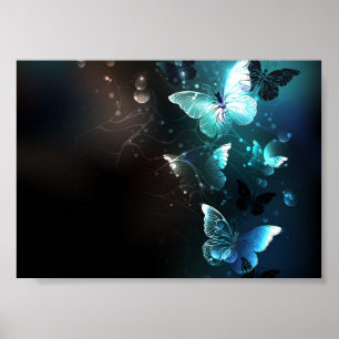 Poster Papillons de nuit
