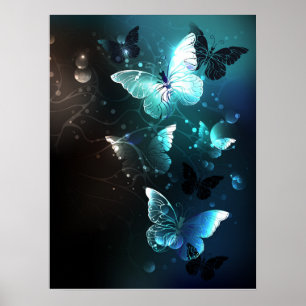 Poster Papillons de nuit
