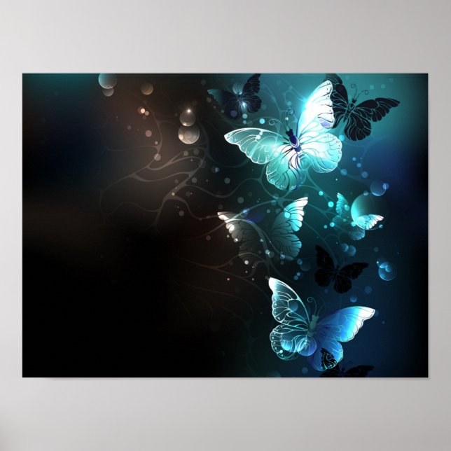 Poster Papillons de nuit (Devant)