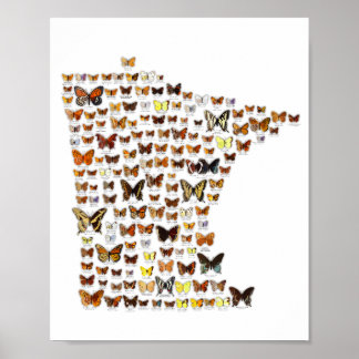 Poster Papillons du Minnesota