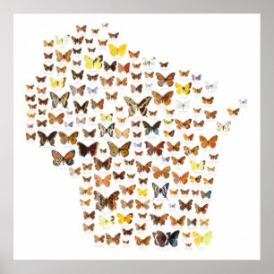 Poster Papillons du Wisconsin