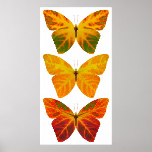 Poster Papillons feuille Aspen