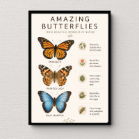 Papillons Incroyables Éducatif