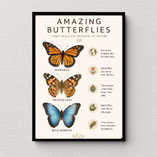 Poster Papillons Incroyables Éducatif