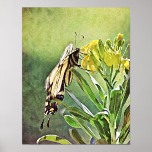 Poster Papillons jaunes et fleurs Art Imprimer