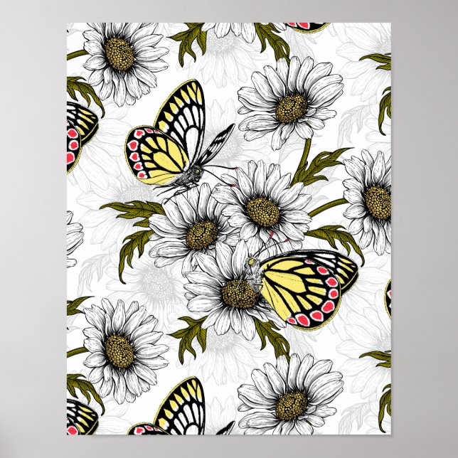 Poster Papillons Jézabel et fleurs marguerites sur blanc (Devant)