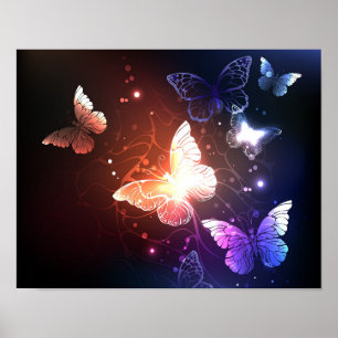 Poster Papillons nocturnes