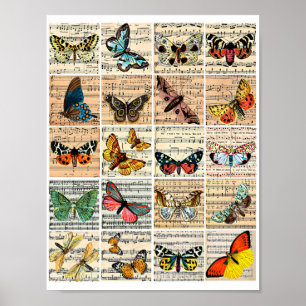 Poster Papillons Partition Musique Ephémère Vintage Art
