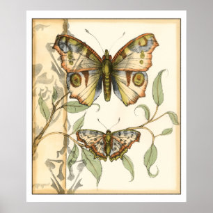 Poster Papillons tandem au-dessus de feuille vert