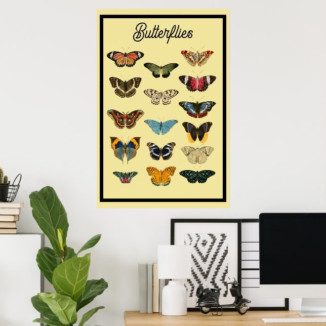 Poster Papillons vintages (Bureau à domicile)