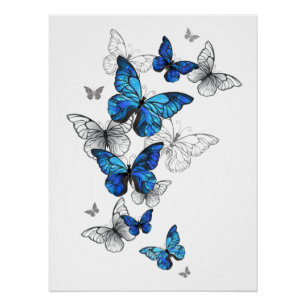 Poster Papillons volants bleus Morpho