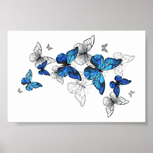 Poster Papillons volants bleus Morpho (Devant)