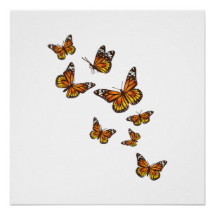 Poster Papillons volants - Gardener à papillon Ento