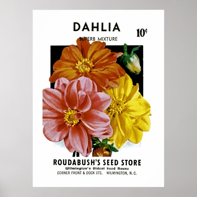Poster Paquet de semences Vintage Dahlia (Devant)