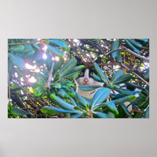 Poster Par Les Feuilles