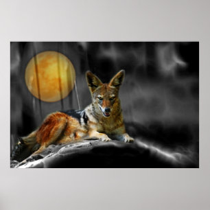 Poster Par Lumière Lune