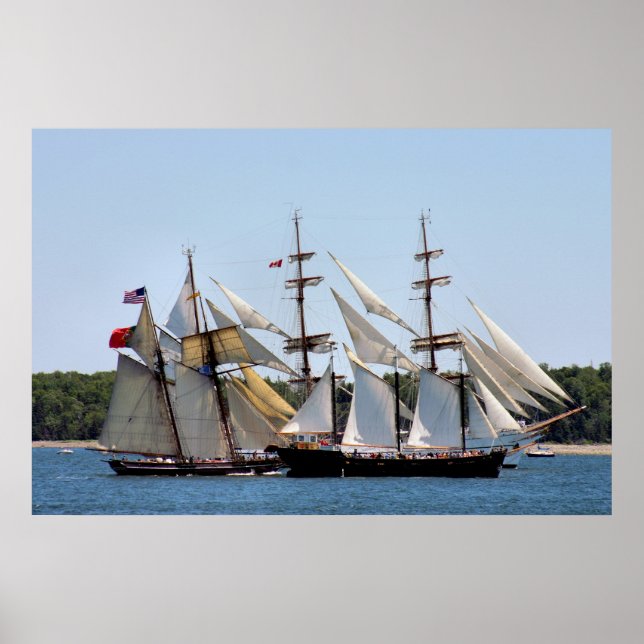 Poster Parade of Sails - Halifax (Nouvelle-Écosse) 2009 P (Devant)