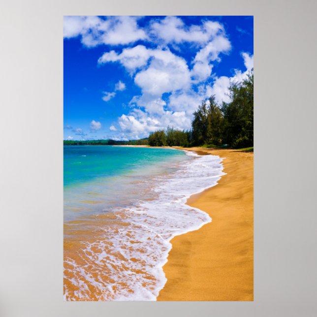 Poster Paradis de plage tropical, Hawaï (Devant)