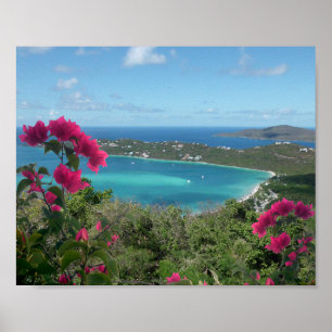 Poster Paradis des Caraïbes Photo de plage tropicale