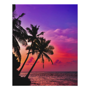 Poster Paradis du coucher de soleil de Palm tropical