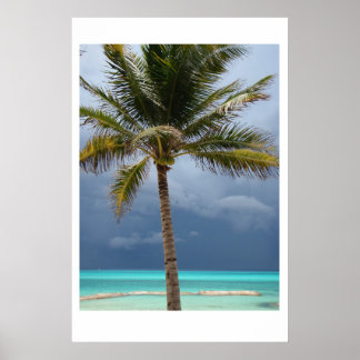 Poster Paradis orageux