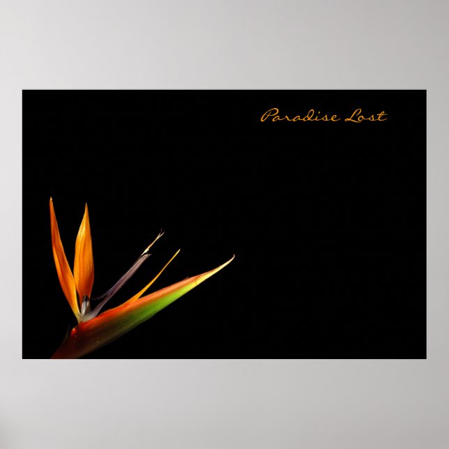 Poster Paradis perdu (Devant)