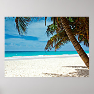 Poster Paradis tropical