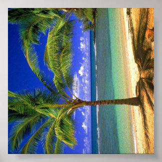 Poster Paradis tropical de la plage