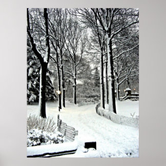 Poster Parc central 2010 Neige - CIMG6446