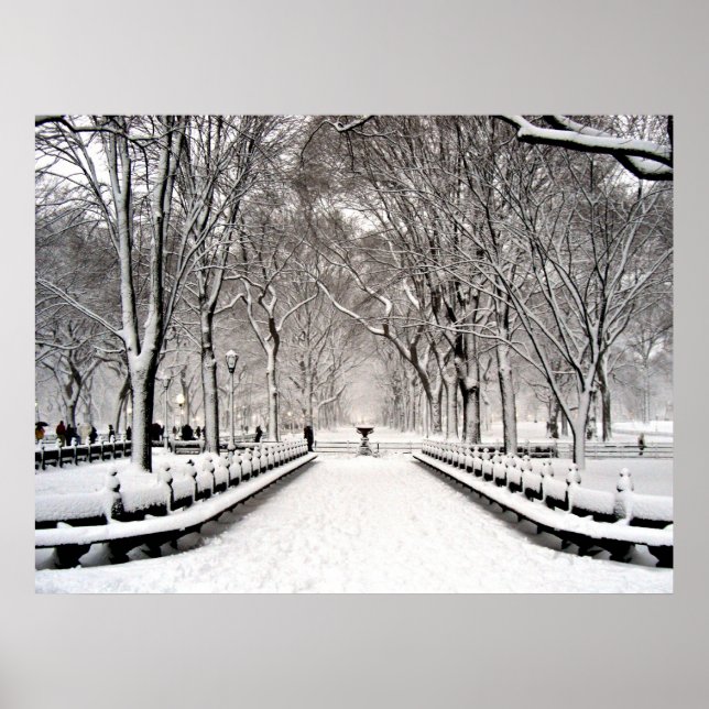 Poster Parc central 2010 Neige - CIMG6496 (Devant)