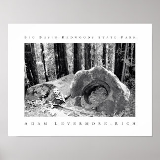 Poster Parc d'état de Big Basin Redwoods