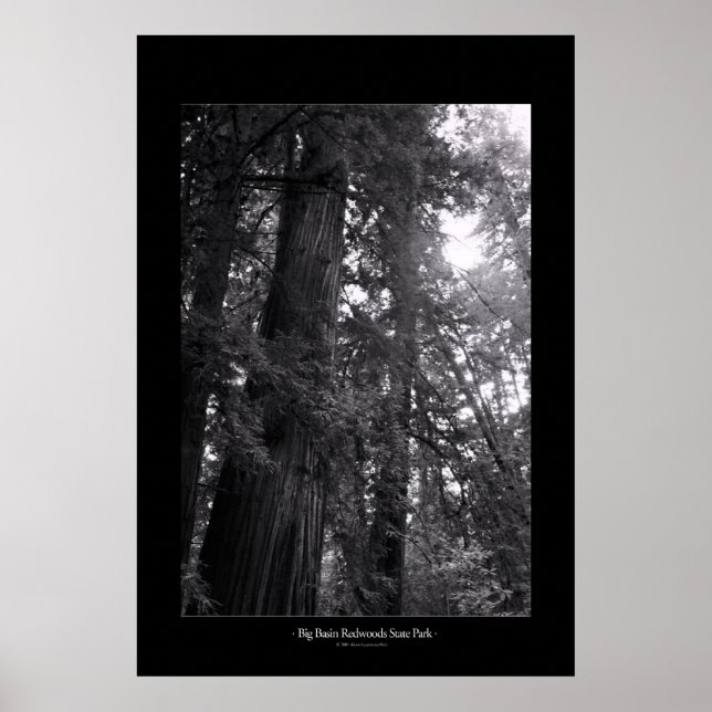 Poster Parc d'état de Big Basin Redwoods (Devant)