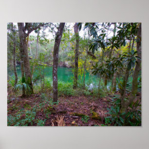 Poster Parc d'état de Blue Springs, la Floride