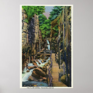 Poster Parc d'état d'entaille de Franconia