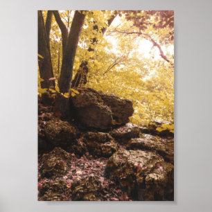Poster parc national backbone iowa