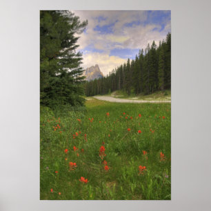 Poster Parc national Banff