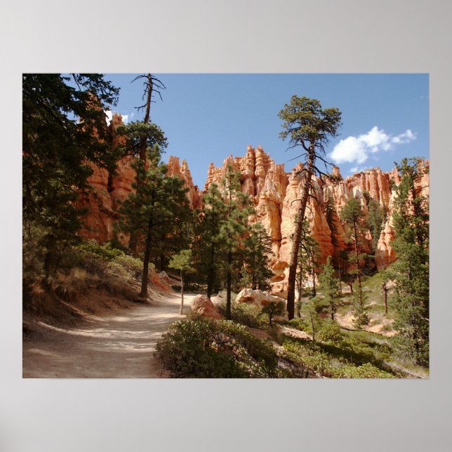 Poster Parc national Bryce Canyon Trail (Devant)