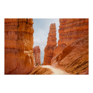 Poster Parc national Bryce Canyon Trail