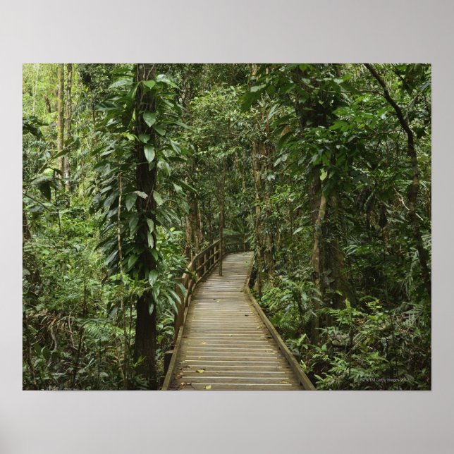 Poster Parc national de Daintree (Patrimoine mondial de l (Devant)